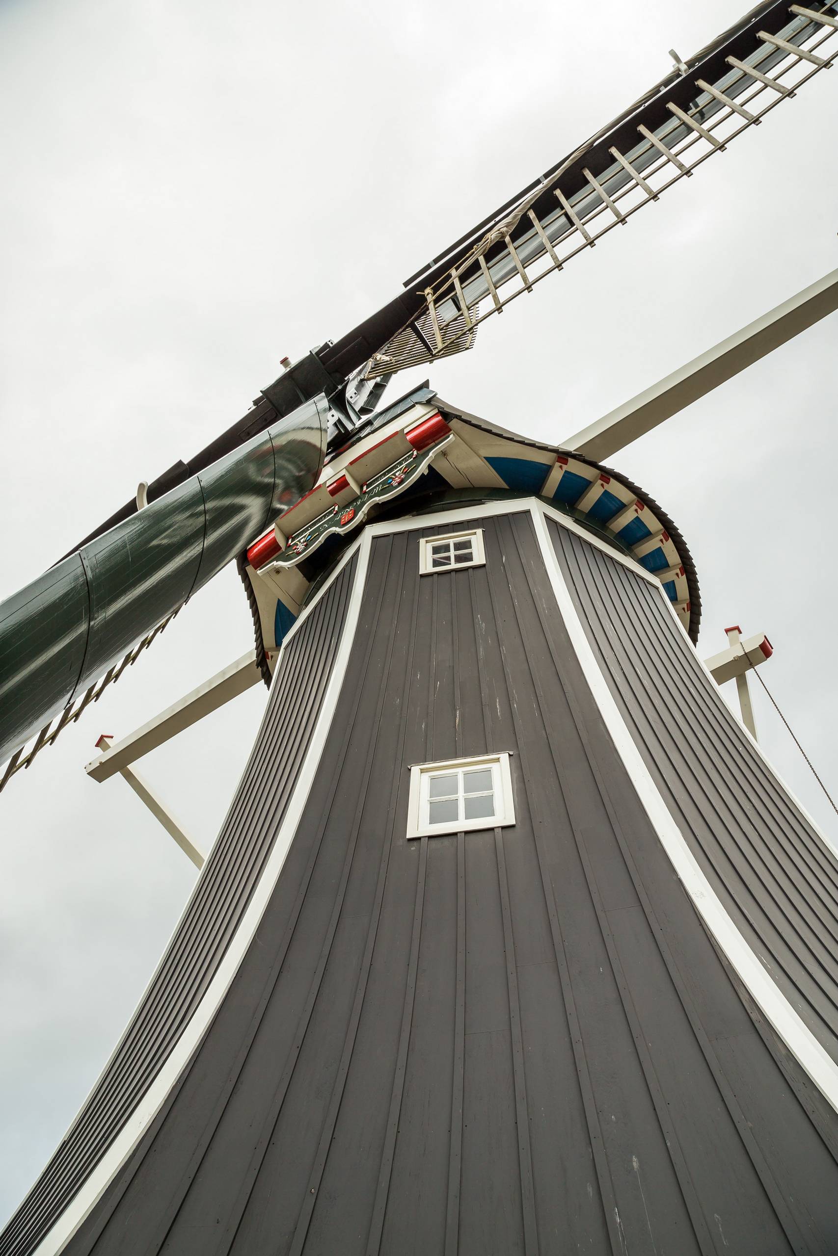 2019 Niederlande 244